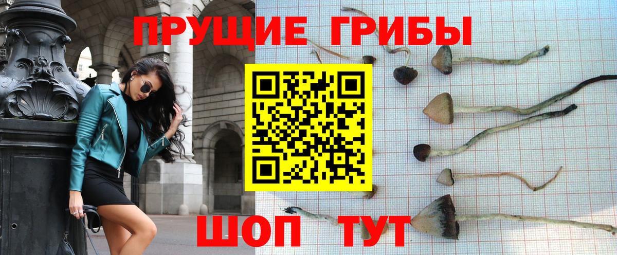 Полысаево  Галлюциногенные грибы Magic Shrooms  Вход с VPN 
